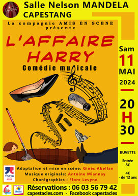 L Affaire Harry-affiche capestang-2 (3).jpg